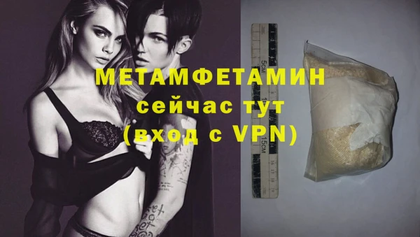 стаф Сосновый Бор