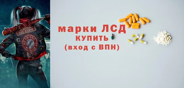 индика Балахна