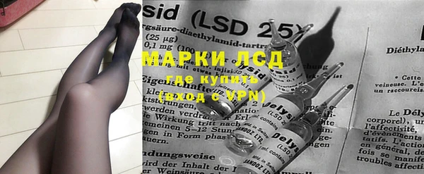 индика Балахна