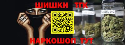 мдпв Гусев