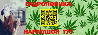spice Гусь-Хрустальный